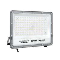 100WATT LED FLOOD LIGHT ECOSTAR