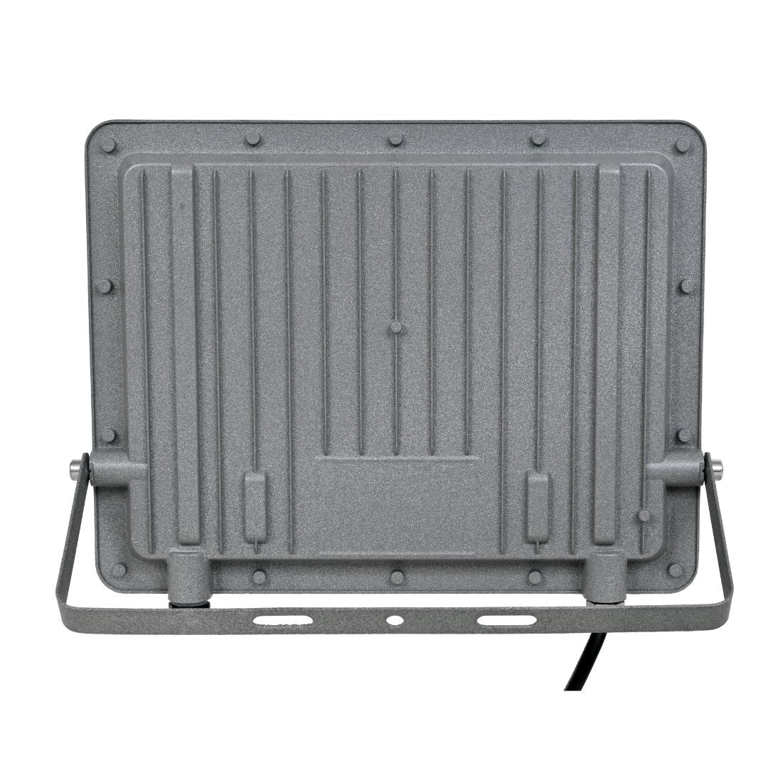 100WATT LED FLOOD LIGHT ECOSTAR