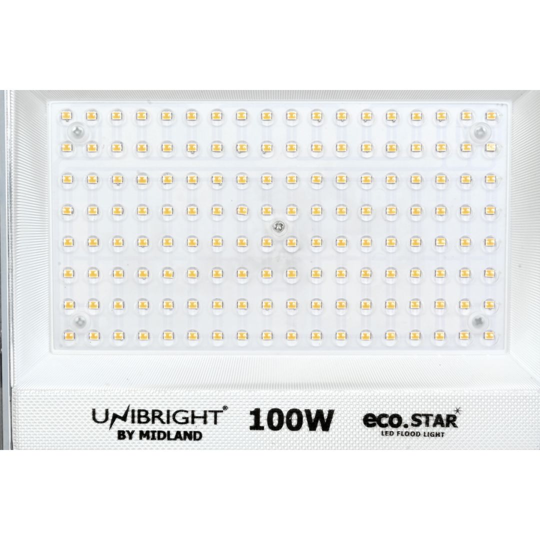 100WATT LED FLOOD LIGHT ECOSTAR