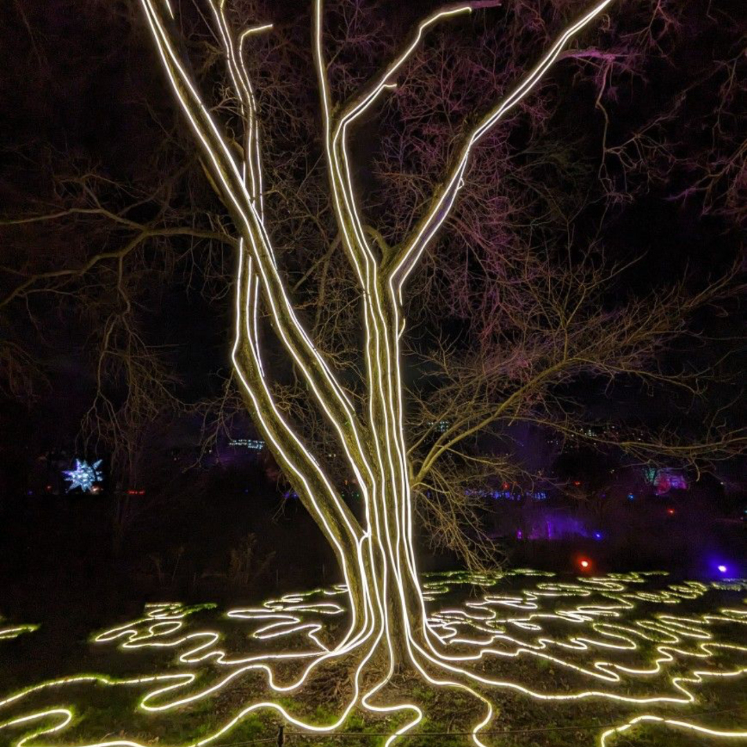 WARM WHITE LED ROPE LIGHT 220V UNIBRIGHT 20 METER ROLL
