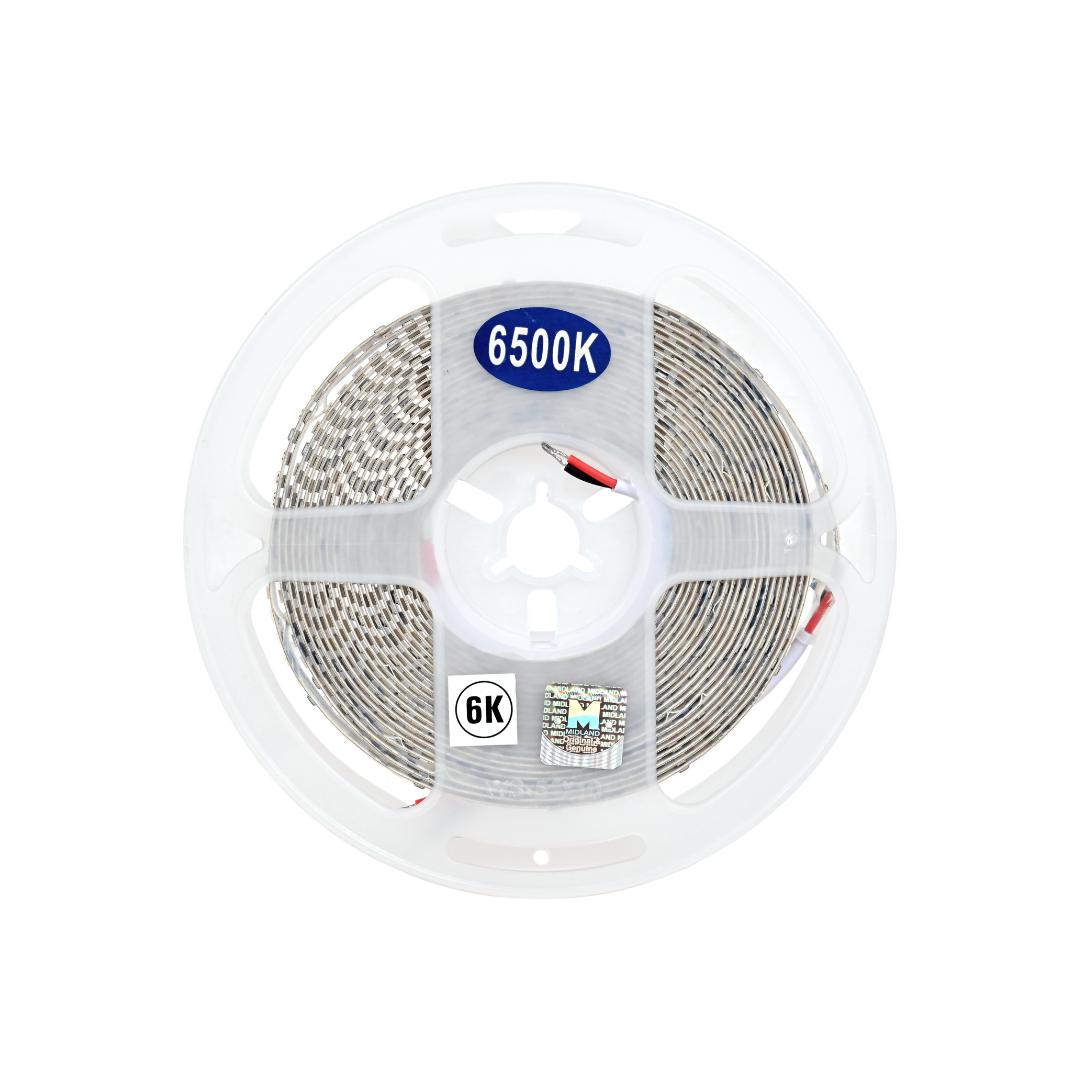 COOL WHITE LED STRIP LIGHT 12V 240 LED PER METER MIDLAND (5 METER/ ROLL)