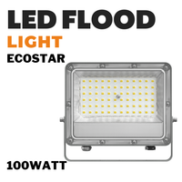 100WATT LED FLOOD LIGHT ECOSTAR